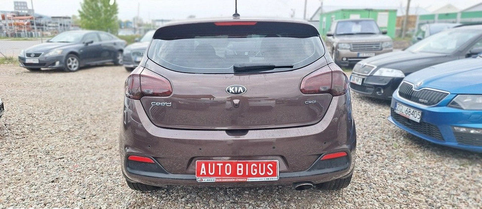 Kia Ceed cena 36900 przebieg: 213000, rok produkcji 2012 z Bielsko-Biała małe 232